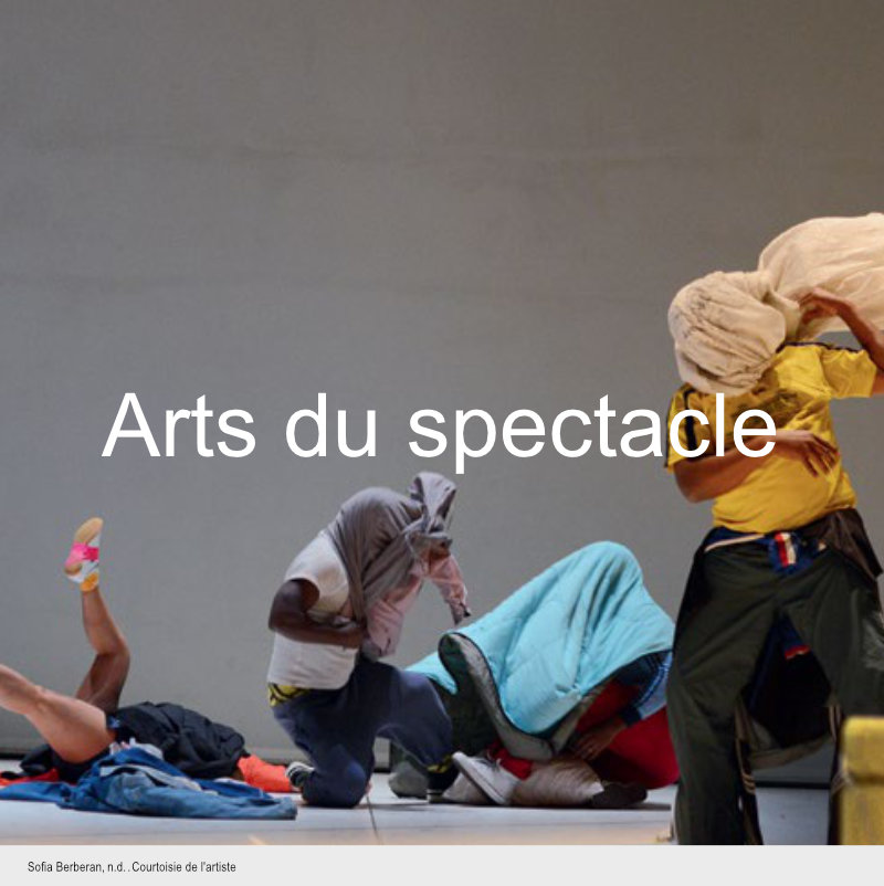 Arts du spectacle